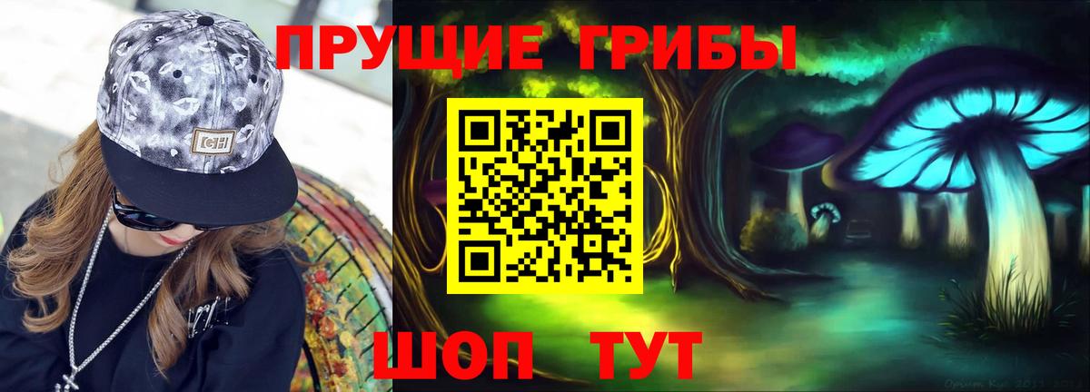 Псилоцибиновые грибы мицелий  Вход с VPN  Звенигород 