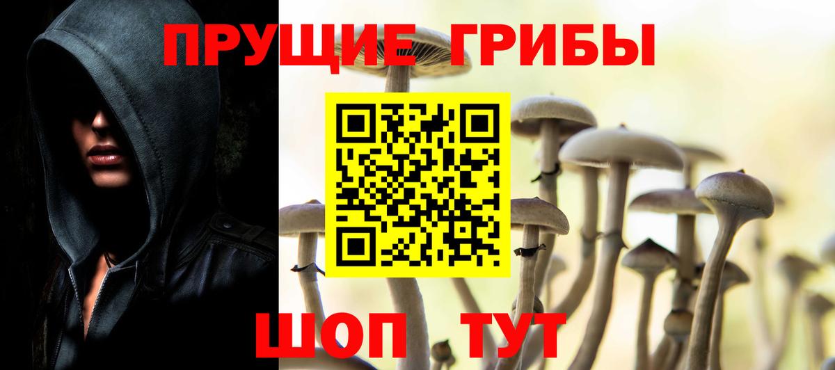 Галлюциногенные грибы ЛСД Звенигород