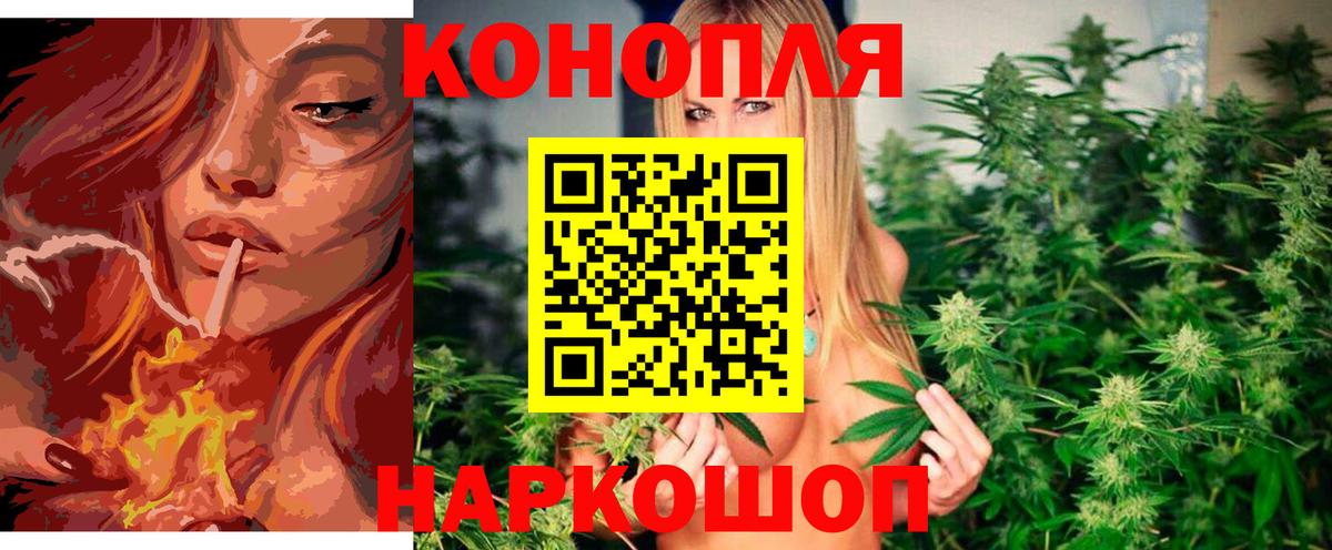 Бошки марихуана Bruce Banner Звенигород